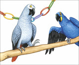 Memoirs of a Parrot </br> Item: 369621