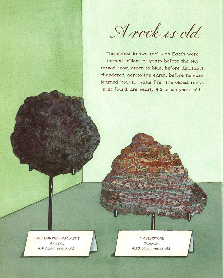 A Rock Is Lively The Literacy Store
