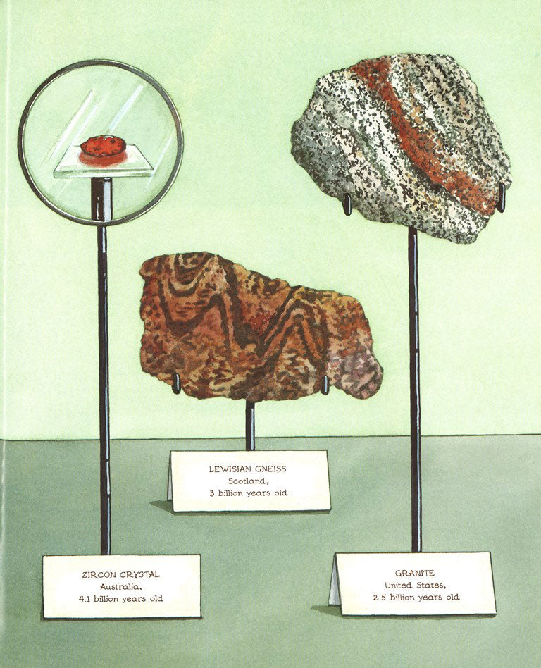 A Rock Is Lively The Literacy Store