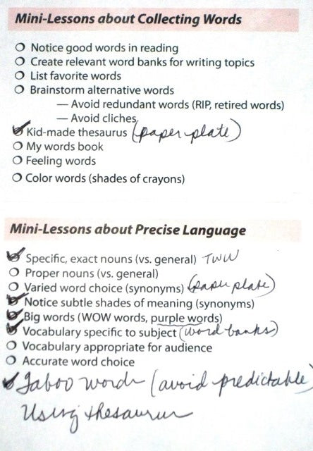 Writing Mini-Lesson Labels β The Literacy Store