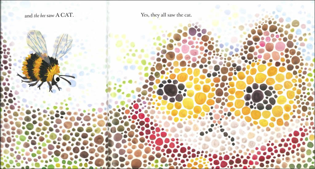 They All Saw A Cat – The Literacy Store