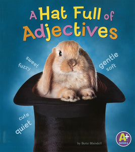 A Hat Full of Adjectives </br> Item: 550978