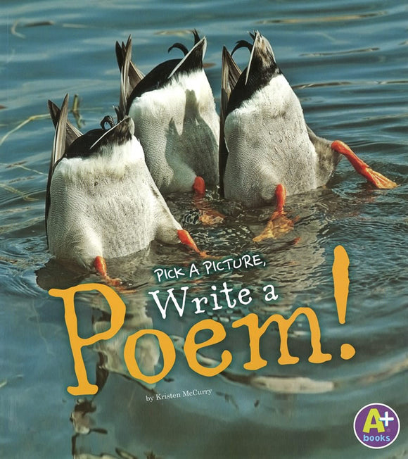 Pick a Picture, Write a Poem! </br> Item: 551043