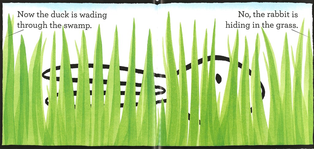 Duck! Rabbit! – The Literacy Store
