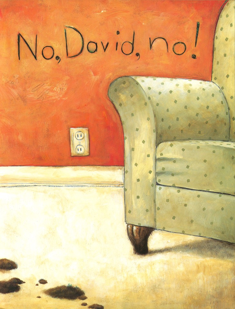 No, David! – The Literacy Store