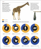 Animals By the Numbers </br> Item: 630925