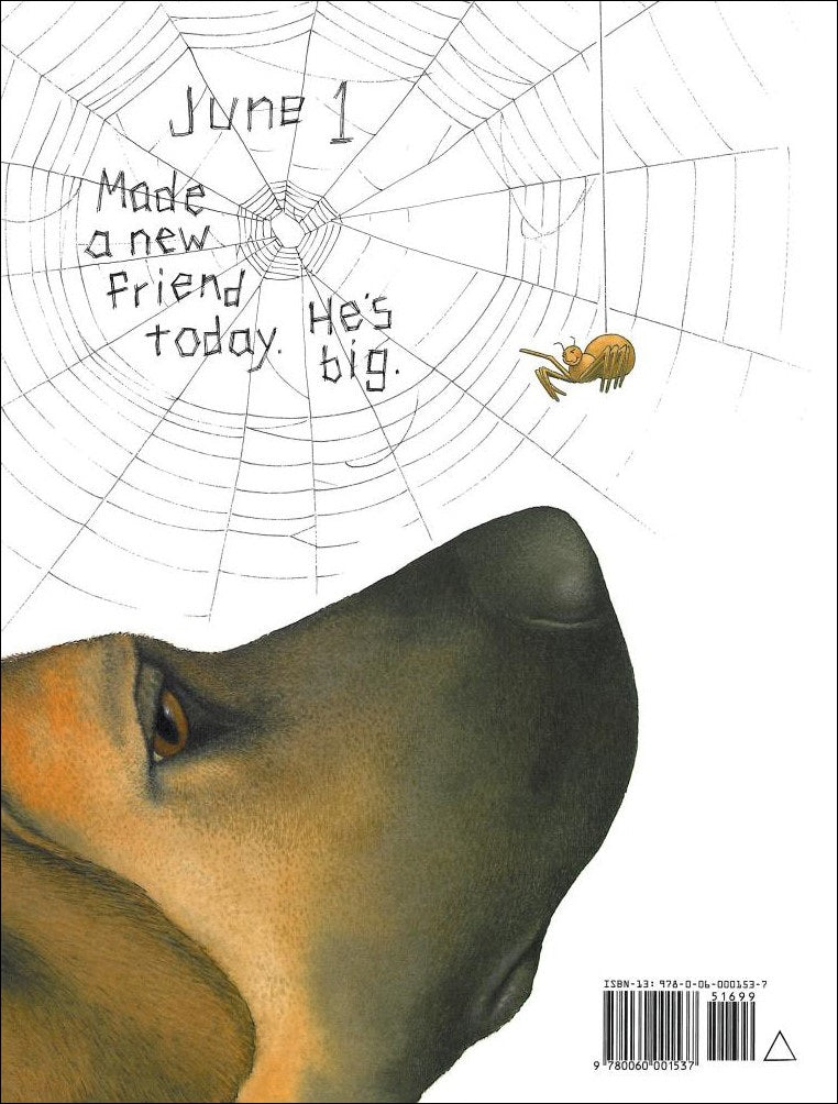 Diary of a Spider – The Literacy Store