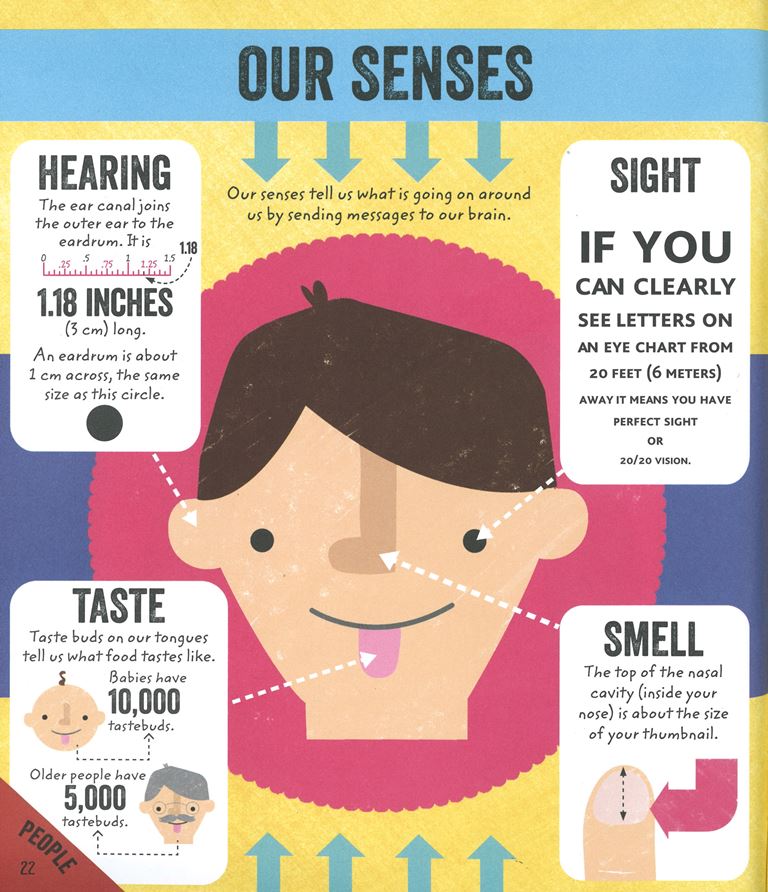 Infograph Drawing Examples Infographic Examples For Students Drawing