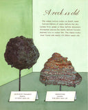 A Rock Is Lively </br> Item: 145556