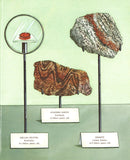 A Rock Is Lively </br> Item: 145556