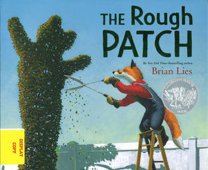 The Rough Patch DISPLAY COPY